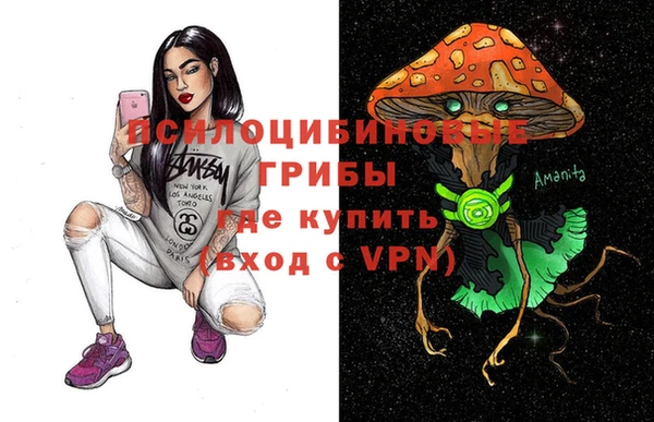 Альфа ПВП Аркадак