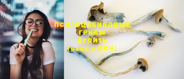 Альфа ПВП Аркадак