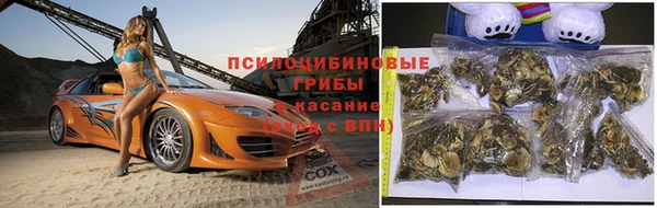 Альфа ПВП Аркадак