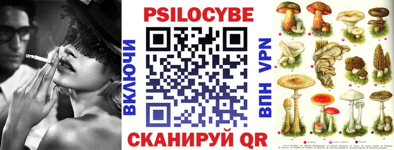 Галлюциногенные грибы Psilocybe  Татарск 